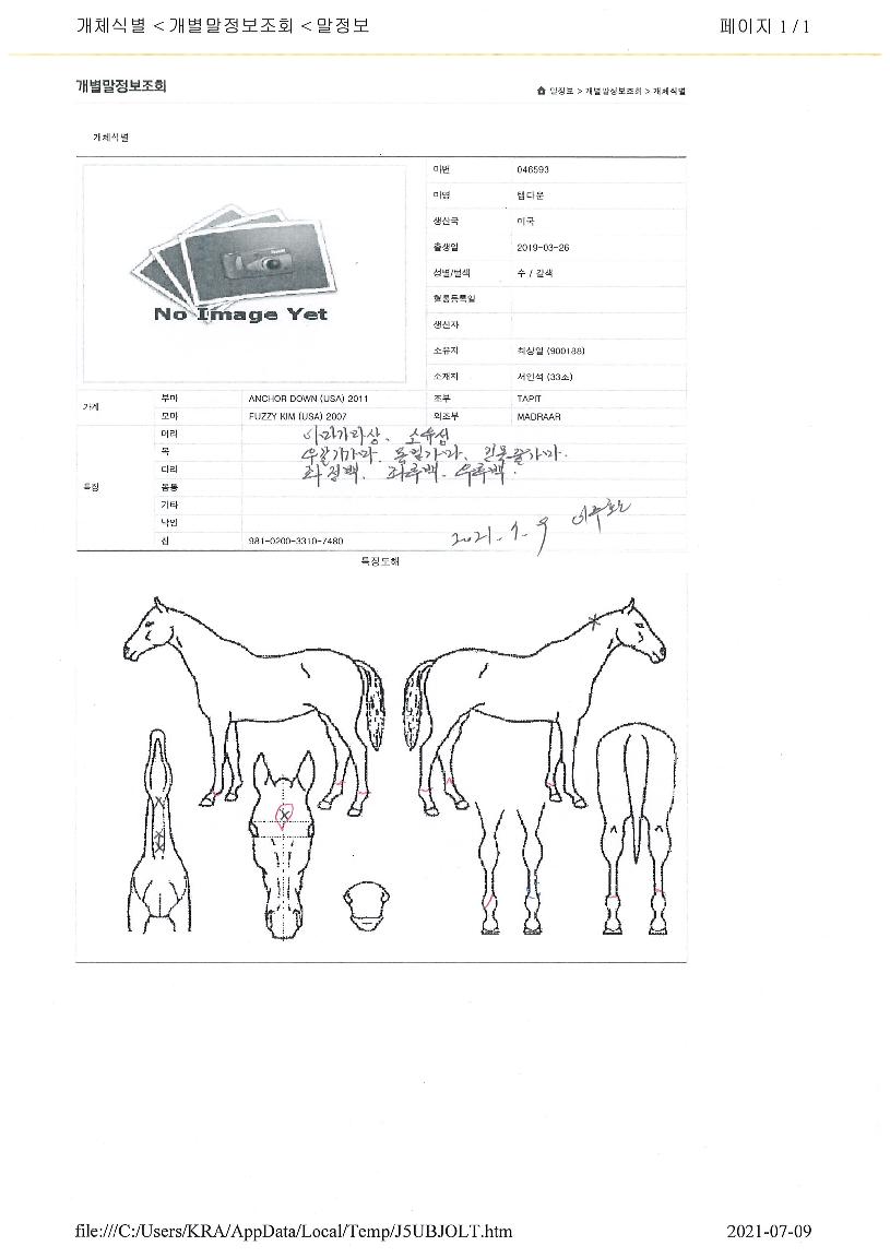 �Ǵٿ��� ����,���,�޸�,�λ�,�ٸ��� Ư¡����