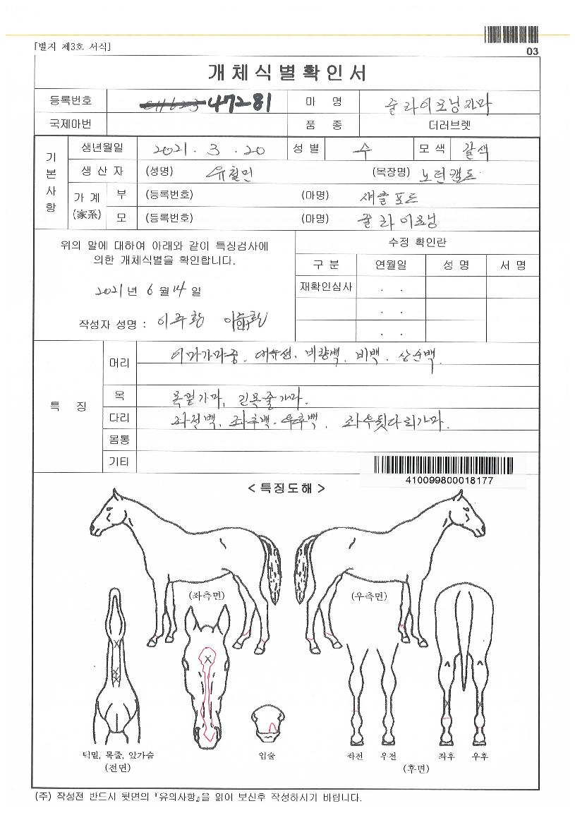 ÁÙ¶óÀ̸ð´×ÀÚ¸¶ÀÇ Ãø¸é,¿ì¸é,µÞ¸é,µÎ»ó,´Ù¸®ÀÇ Æ¯Â¡µµÇØ