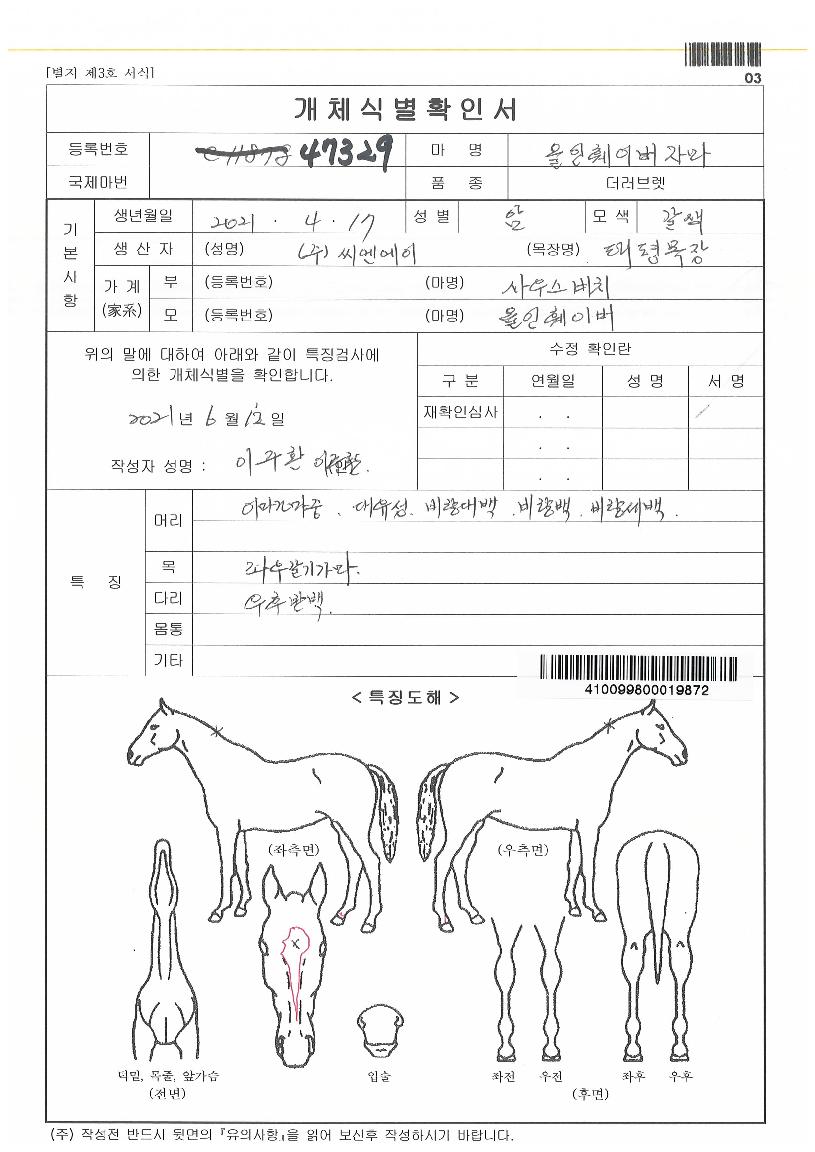 ¿ÃÀÎÈÑÀ̹öÀÚ¸¶ÀÇ Ãø¸é,¿ì¸é,µÞ¸é,µÎ»ó,´Ù¸®ÀÇ Æ¯Â¡µµÇØ