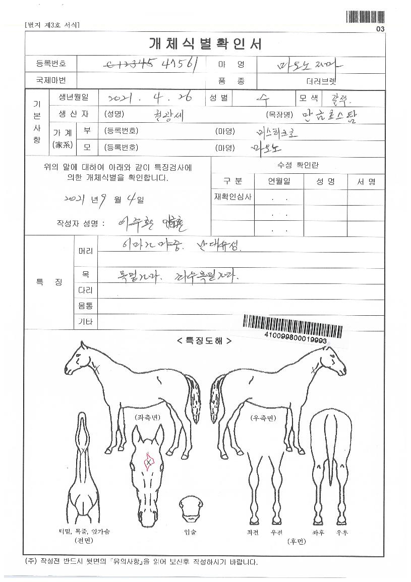 ¸¶¿À³ëÀÚ¸¶ÀÇ Ãø¸é,¿ì¸é,µÞ¸é,µÎ»ó,´Ù¸®ÀÇ Æ¯Â¡µµÇØ