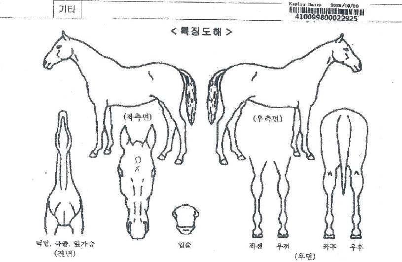 ���͵����� ����,���,�޸�,�λ�,�ٸ��� Ư¡����