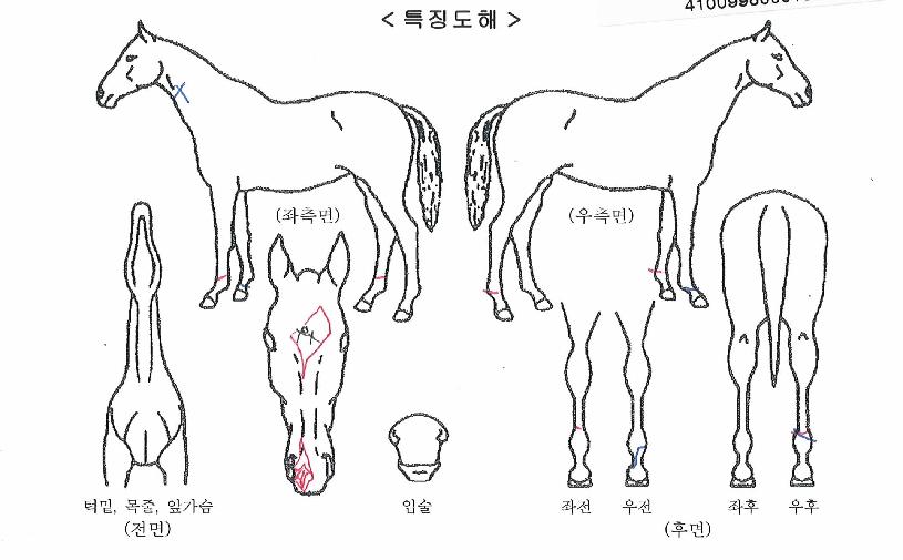 ¼±´õ¿¡ÀÌ¿øÀÇ Ãø¸é,¿ì¸é,µÞ¸é,µÎ»ó,´Ù¸®ÀÇ Æ¯Â¡µµÇØ