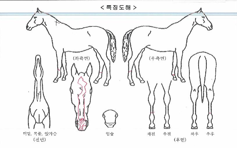 ���ʹ����� ����,���,�޸�,�λ�,�ٸ��� Ư¡����