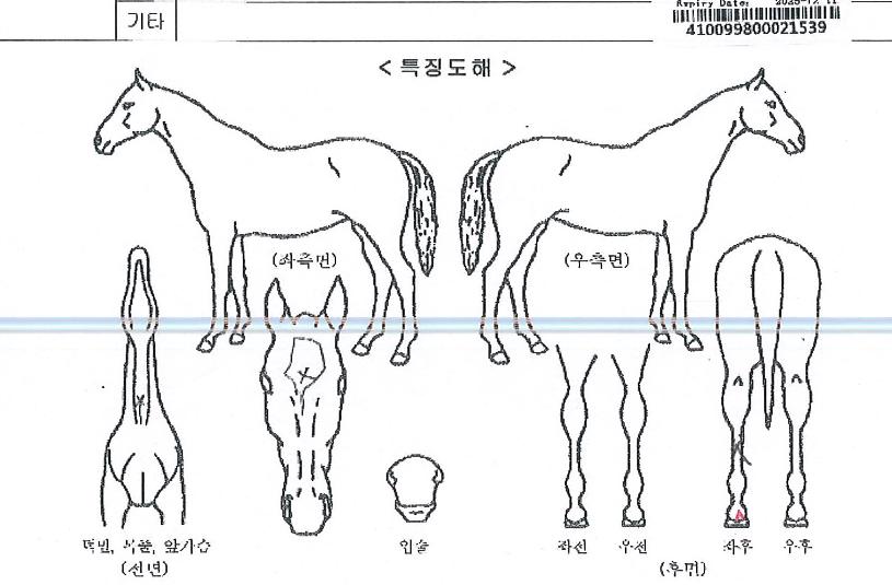 �׸����ڵ��� ����,���,�޸�,�λ�,�ٸ��� Ư¡����