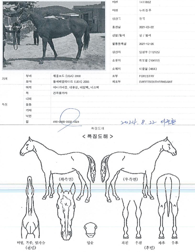 ���������� ����,���,�޸�,�λ�,�ٸ��� Ư¡����