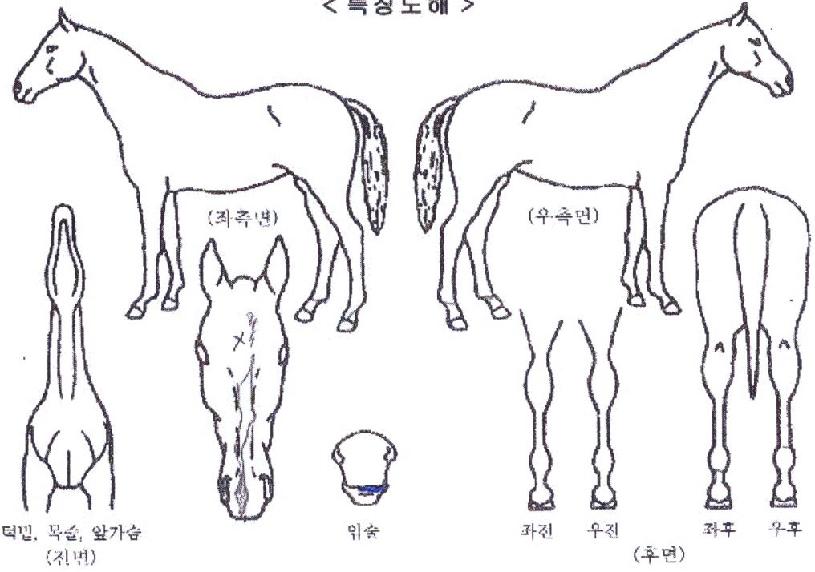 �������� ����,���,�޸�,�λ�,�ٸ��� Ư¡����