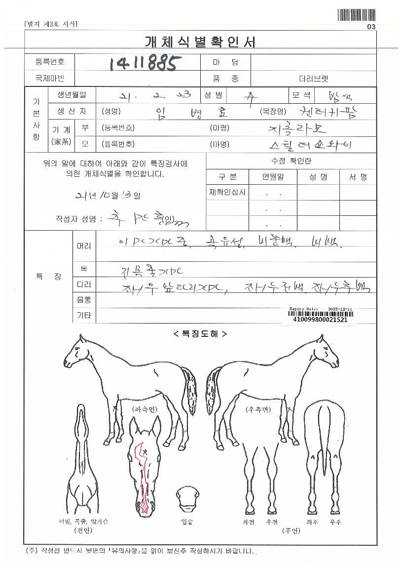 ���ֺ���Ʈ�� ����,���,�޸�,�λ�,�ٸ��� Ư¡����