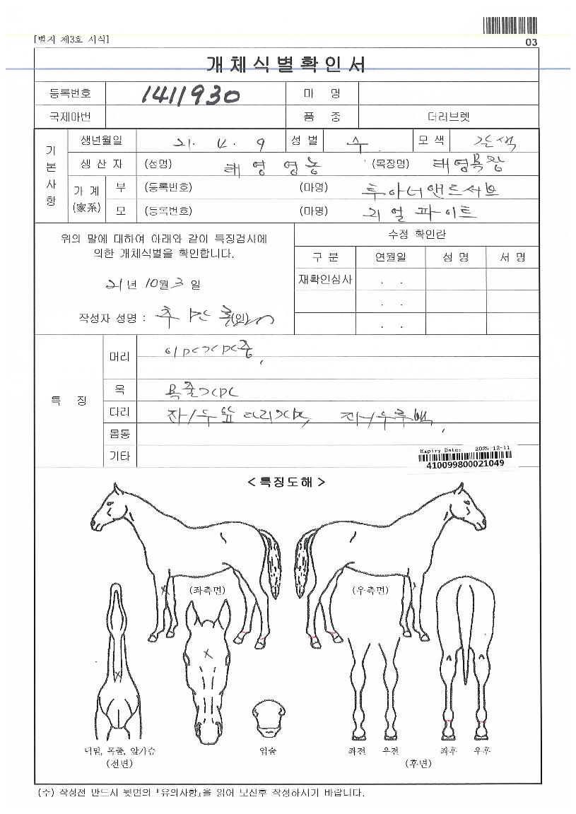 ��Ÿ����Ÿ�� ����,���,�޸�,�λ�,�ٸ��� Ư¡����