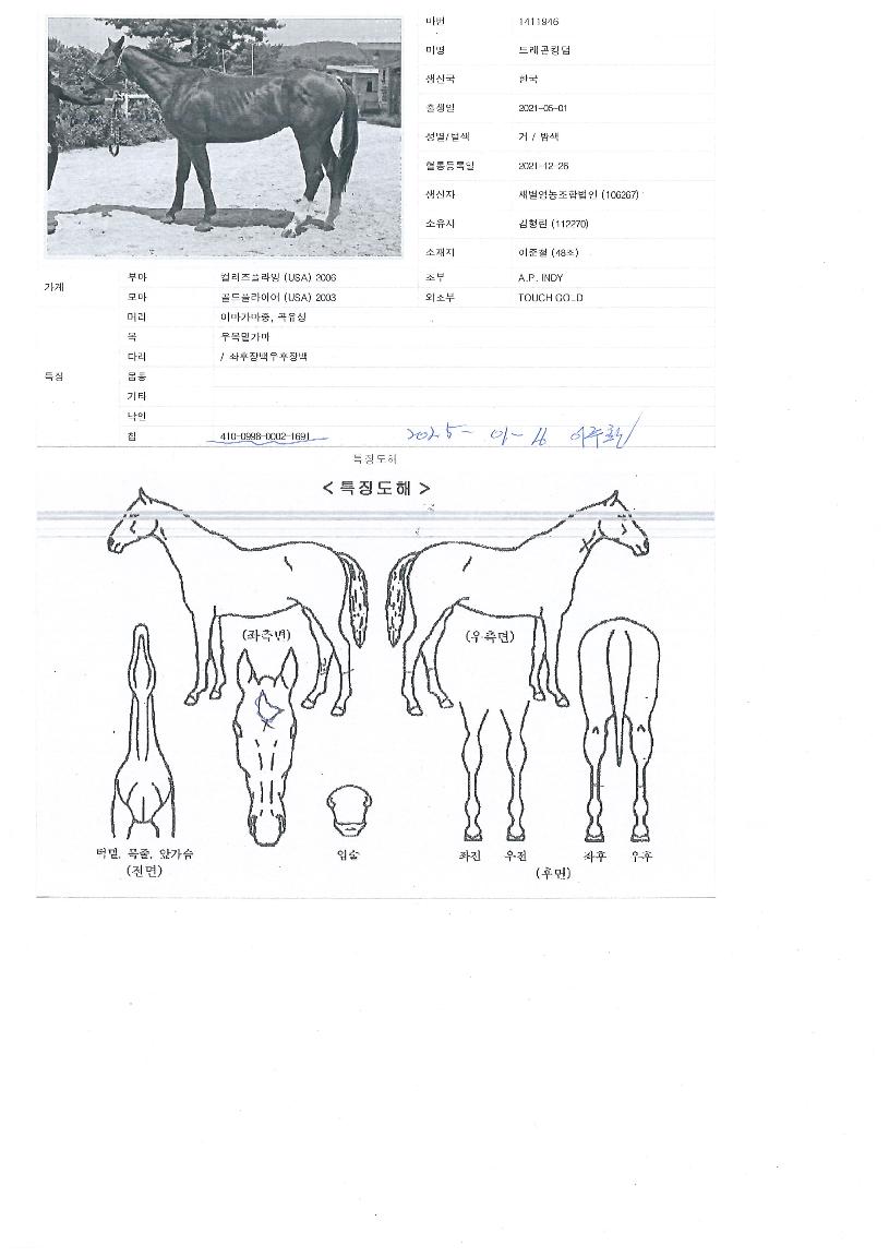 �巡��ŷ���� ����,���,�޸�,�λ�,�ٸ��� Ư¡����