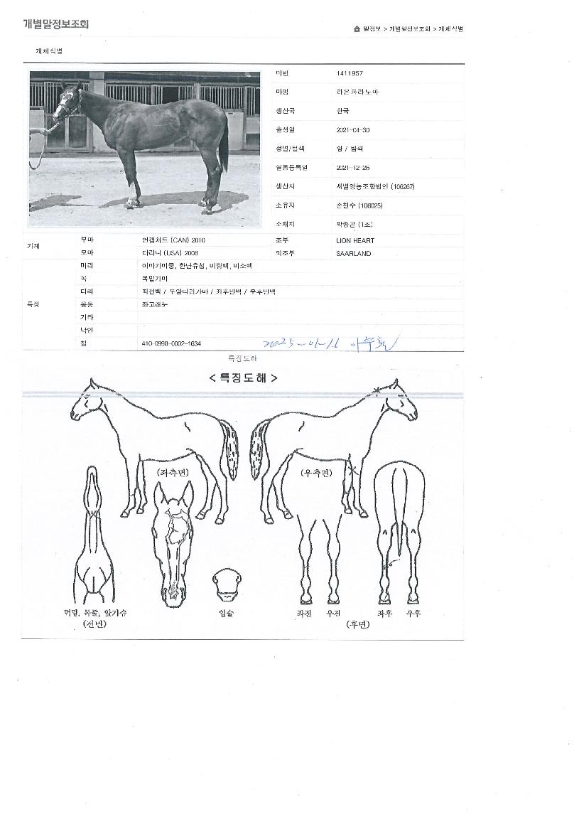 ����Ķ�븶�� ����,���,�޸�,�λ�,�ٸ��� Ư¡����