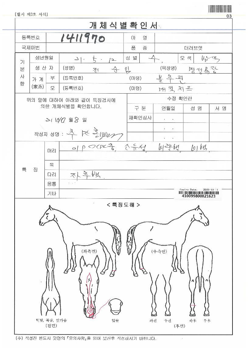 ¸ÅÁ÷ºí·çÇÉÀÇ Ãø¸é,¿ì¸é,µÞ¸é,µÎ»ó,´Ù¸®ÀÇ Æ¯Â¡µµÇØ