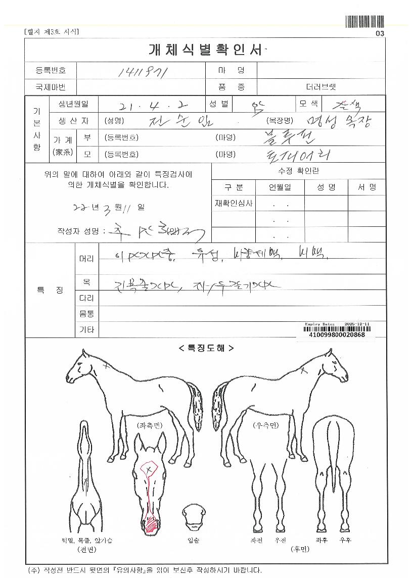 ÅäÇǾÀÚ¸¶ÀÇ Ãø¸é,¿ì¸é,µÞ¸é,µÎ»ó,´Ù¸®ÀÇ Æ¯Â¡µµÇØ