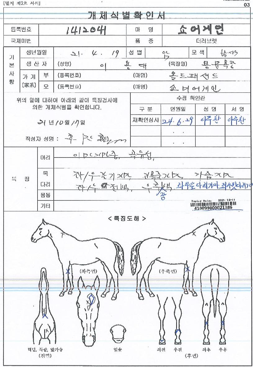 ¼î¾î°ÔÀÎÀÇ Ãø¸é,¿ì¸é,µÞ¸é,µÎ»ó,´Ù¸®ÀÇ Æ¯Â¡µµÇØ