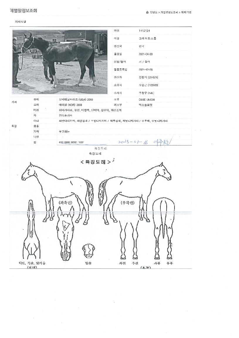 ±×·¹ÀÌÆ®½ºÅèÀÇ Ãø¸é,¿ì¸é,µÞ¸é,µÎ»ó,´Ù¸®ÀÇ Æ¯Â¡µµÇØ