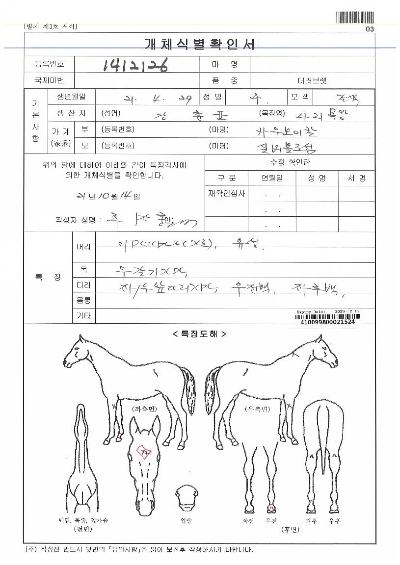 �ǹ����μ��ڸ��� ����,���,�޸�,�λ�,�ٸ��� Ư¡����