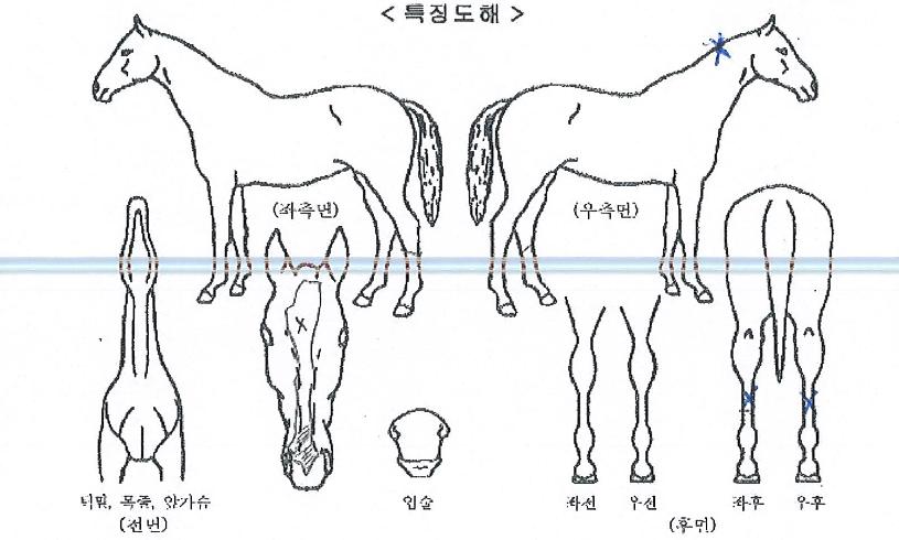 ��Ŭ����Ʈ�� ����,���,�޸�,�λ�,�ٸ��� Ư¡����