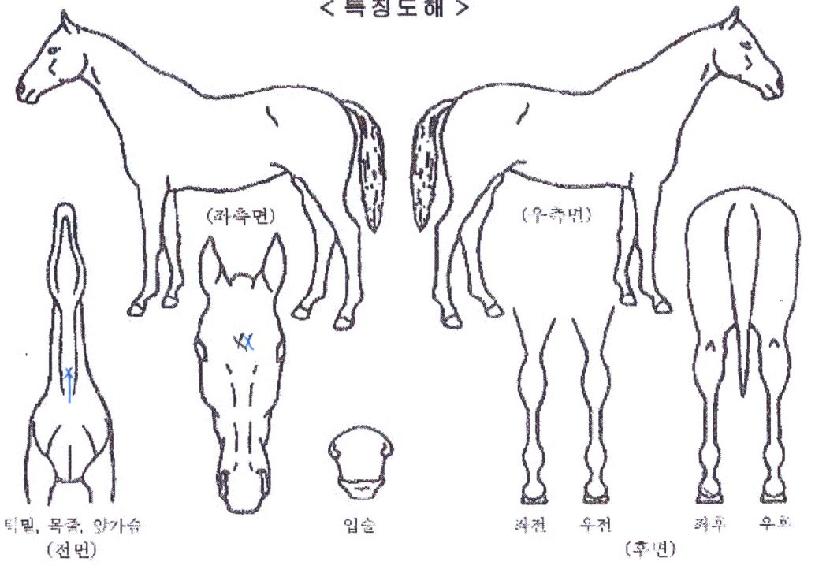 ������ġ�� ����,���,�޸�,�λ�,�ٸ��� Ư¡����