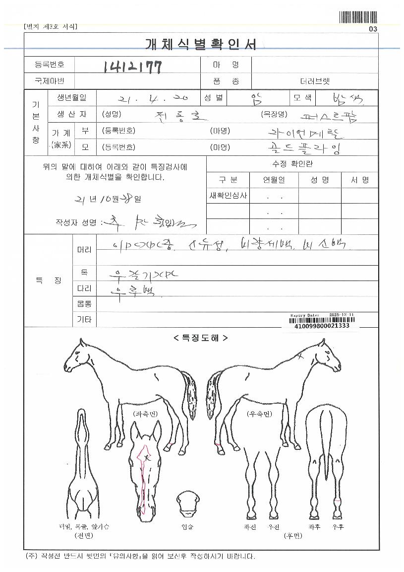 ÇöóÀ×´Ù´©ÀÇ Ãø¸é,¿ì¸é,µÞ¸é,µÎ»ó,´Ù¸®ÀÇ Æ¯Â¡µµÇØ