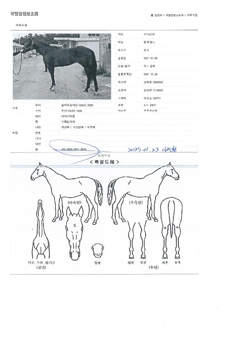 ·±¿ÍÀϵåÀÇ Ãø¸é,¿ì¸é,µÞ¸é,µÎ»ó,´Ù¸®ÀÇ Æ¯Â¡µµÇØ