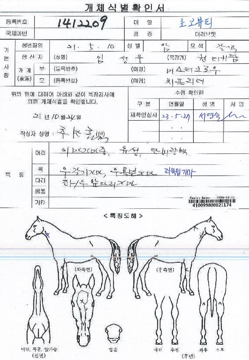 ���ں�Ƽ�� ����,���,�޸�,�λ�,�ٸ��� Ư¡����