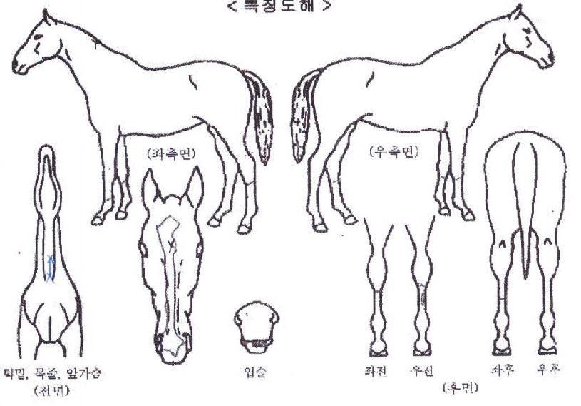 �¸������� ����,���,�޸�,�λ�,�ٸ��� Ư¡����