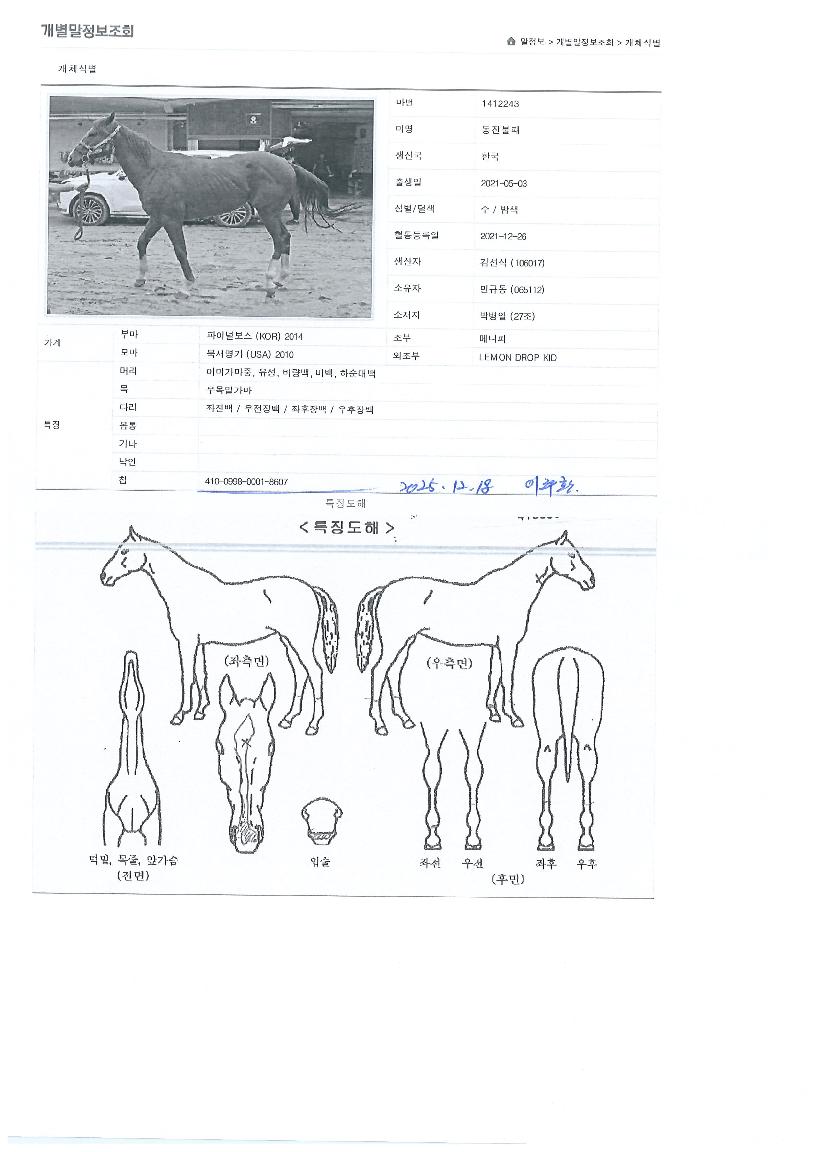 µ¿ÁøºÒÆÐÀÇ Ãø¸é,¿ì¸é,µÞ¸é,µÎ»ó,´Ù¸®ÀÇ Æ¯Â¡µµÇØ