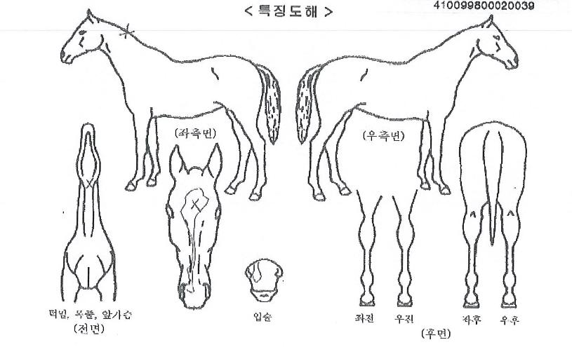 ´ë¼º¼±»þÀÎÀÇ Ãø¸é,¿ì¸é,µÞ¸é,µÎ»ó,´Ù¸®ÀÇ Æ¯Â¡µµÇØ