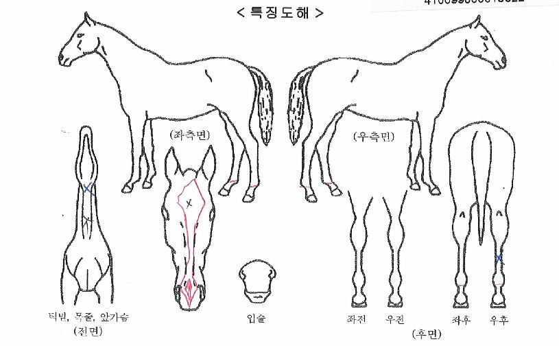 ����õ���� ����,���,�޸�,�λ�,�ٸ��� Ư¡����