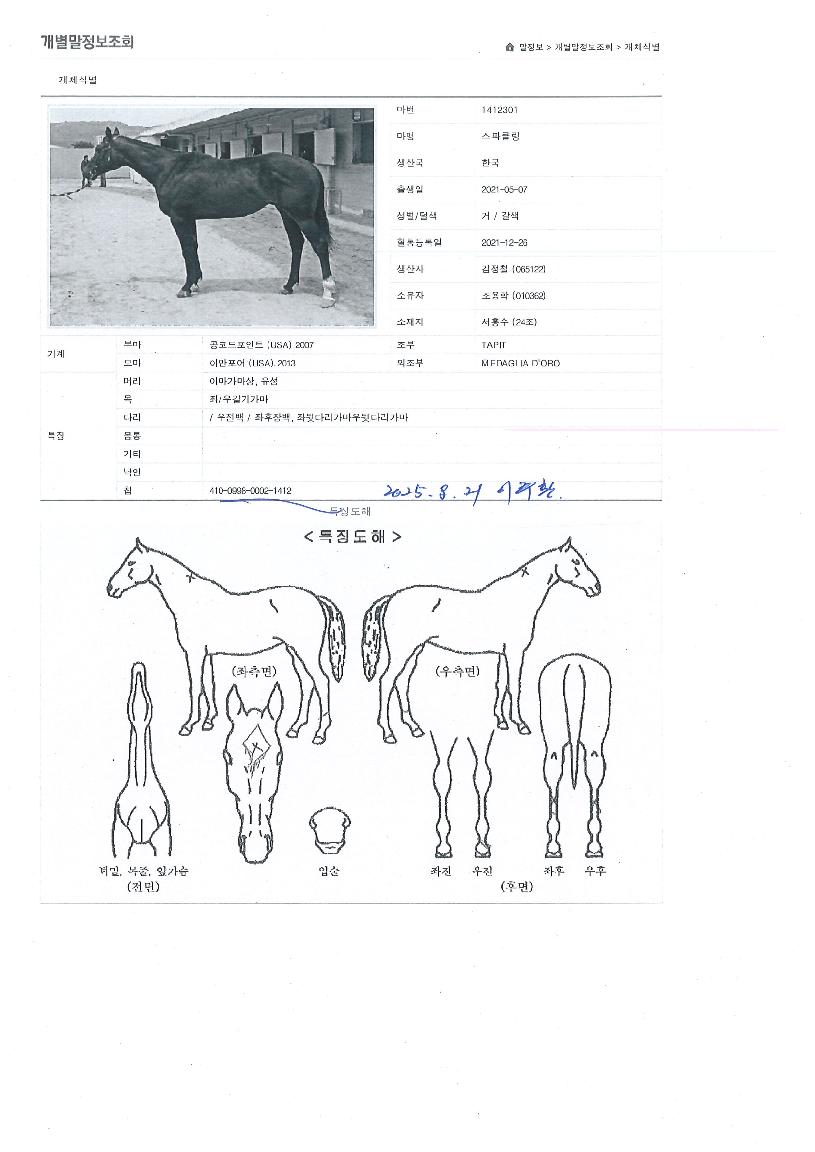 ½ºÆÄŬ¸µÀÇ Ãø¸é,¿ì¸é,µÞ¸é,µÎ»ó,´Ù¸®ÀÇ Æ¯Â¡µµÇØ