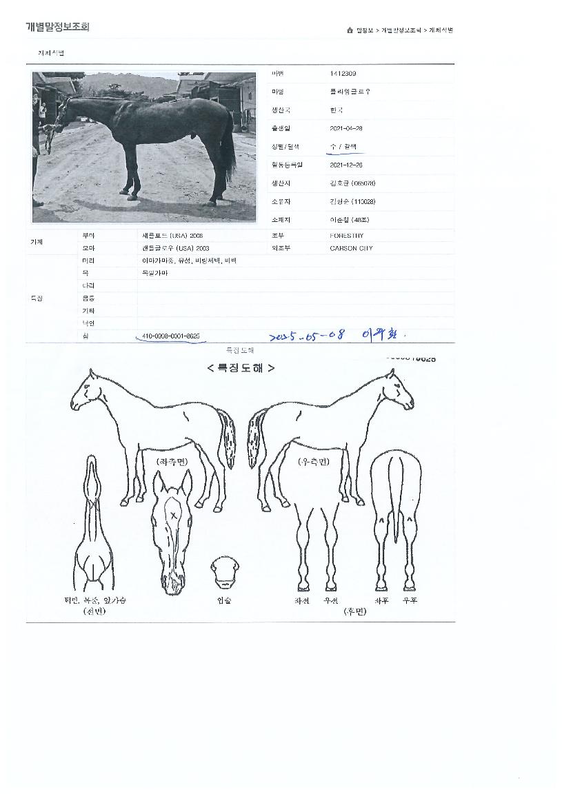 �ö��ױ۷ο��� ����,���,�޸�,�λ�,�ٸ��� Ư¡����