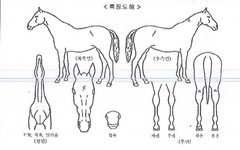 �������� ����,���,�޸�,�λ�,�ٸ��� Ư¡����