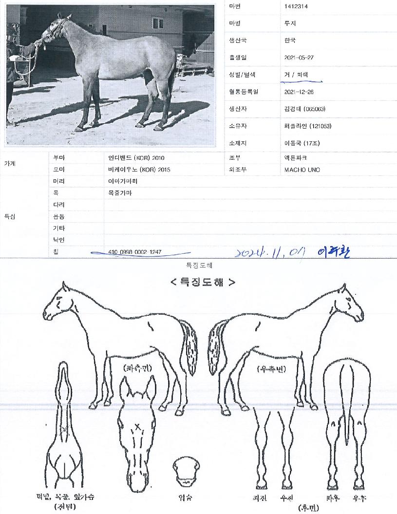 ������ ����,���,�޸�,�λ�,�ٸ��� Ư¡����