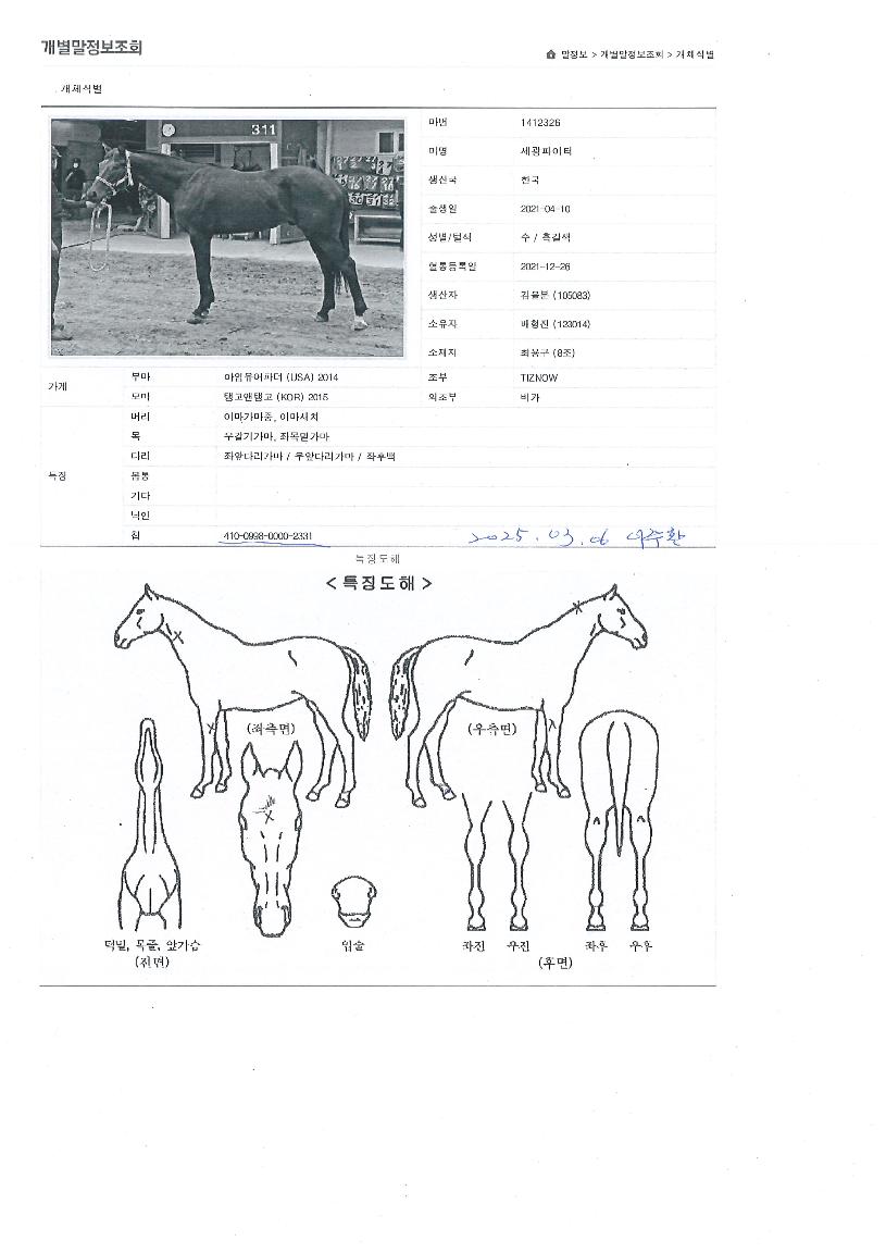 ������������ ����,���,�޸�,�λ�,�ٸ��� Ư¡����