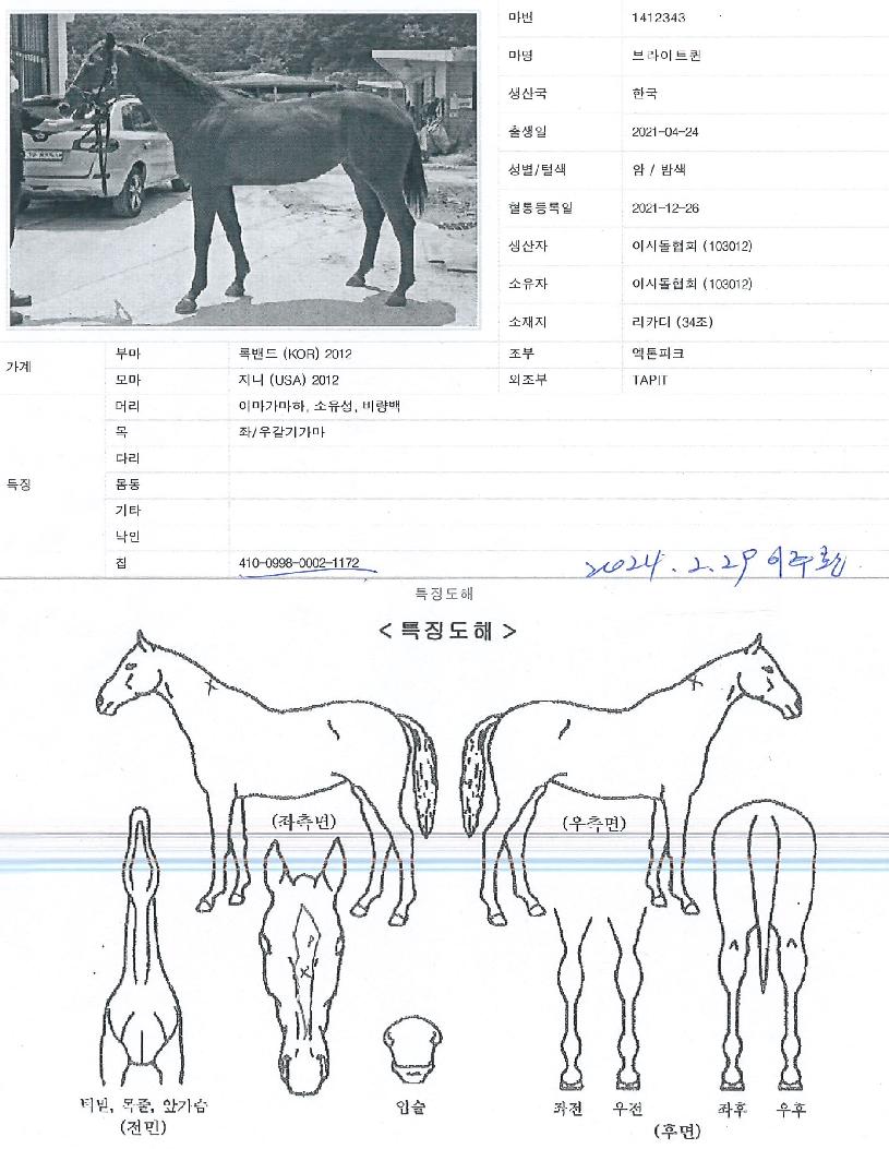 ºê¶óÀÌÆ®ÄýÀÇ Ãø¸é,¿ì¸é,µÞ¸é,µÎ»ó,´Ù¸®ÀÇ Æ¯Â¡µµÇØ