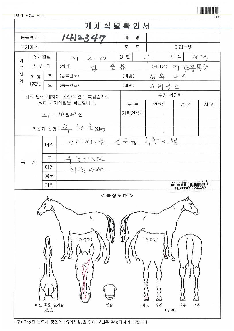 ½ºÅ¸´ë·ÎÀÇ Ãø¸é,¿ì¸é,µÞ¸é,µÎ»ó,´Ù¸®ÀÇ Æ¯Â¡µµÇØ