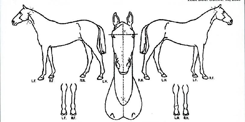 �������� ����,���,�޸�,�λ�,�ٸ��� Ư¡����