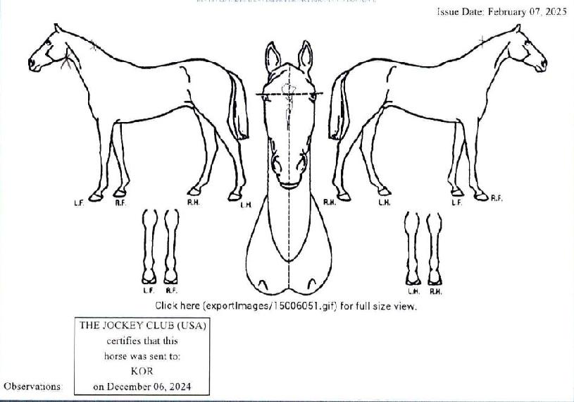 ������ ����,���,�޸�,�λ�,�ٸ��� Ư¡����