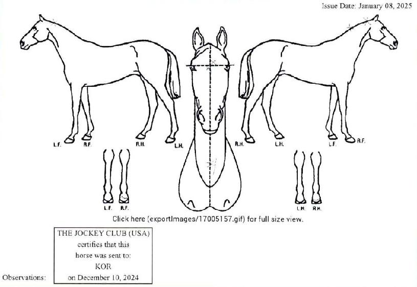 ·¹À̵ð¸¶Ã¿¶óÀÇ Ãø¸é,¿ì¸é,µÞ¸é,µÎ»ó,´Ù¸®ÀÇ Æ¯Â¡µµÇØ