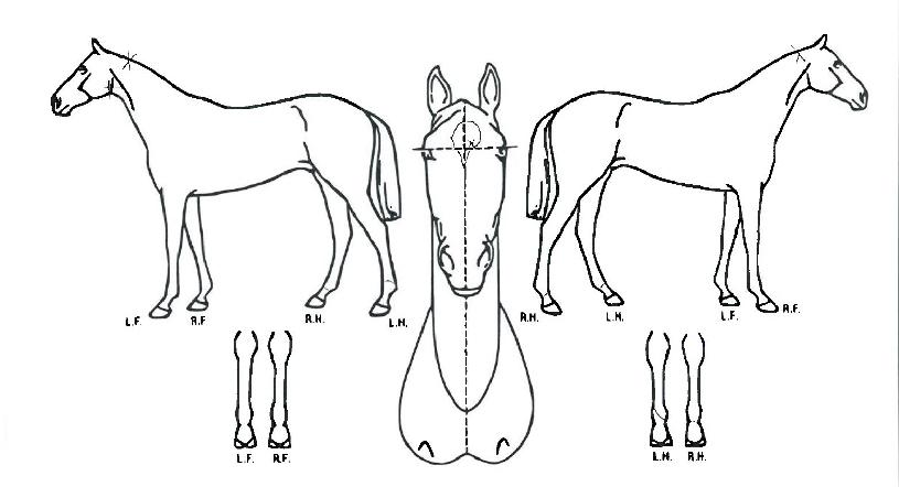 �ӳ����� ����,���,�޸�,�λ�,�ٸ��� Ư¡����