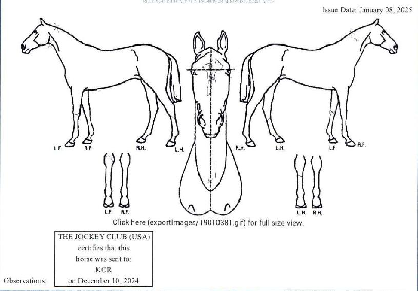 ����ε��� ����,���,�޸�,�λ�,�ٸ��� Ư¡����