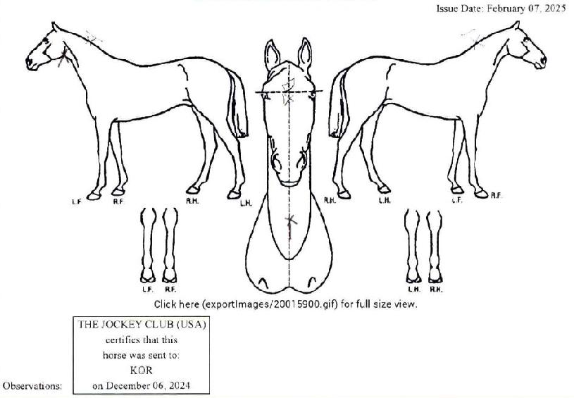 ij¸®µåÀÎÅÍ·¹½ºÆ®ÀÇ Ãø¸é,¿ì¸é,µÞ¸é,µÎ»ó,´Ù¸®ÀÇ Æ¯Â¡µµÇØ