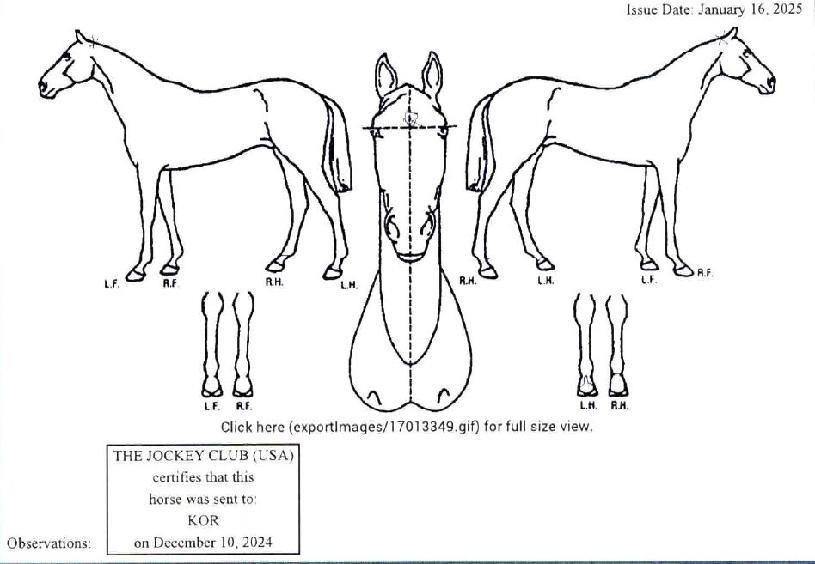 ¾îÄí½ºÆ½¼¨µµÀÇ Ãø¸é,¿ì¸é,µÞ¸é,µÎ»ó,´Ù¸®ÀÇ Æ¯Â¡µµÇØ