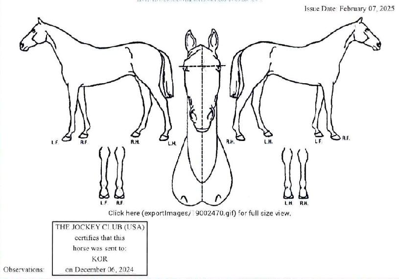 ½º¸®³ª¿ìÀÇ Ãø¸é,¿ì¸é,µÞ¸é,µÎ»ó,´Ù¸®ÀÇ Æ¯Â¡µµÇØ