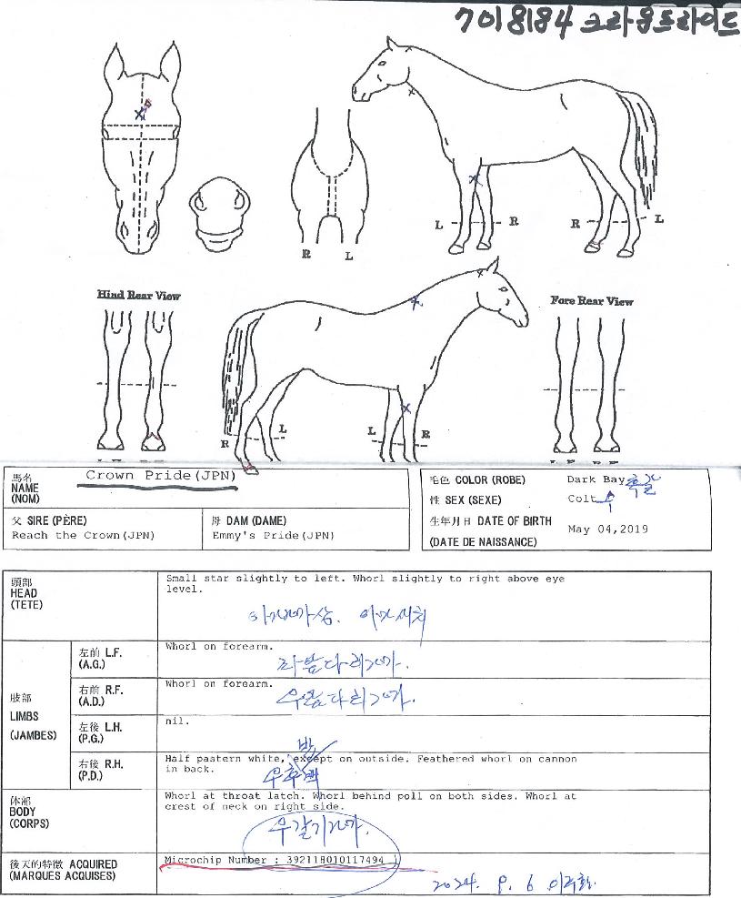 ũ��������̵��� ����,���,�޸�,�λ�,�ٸ��� Ư¡����