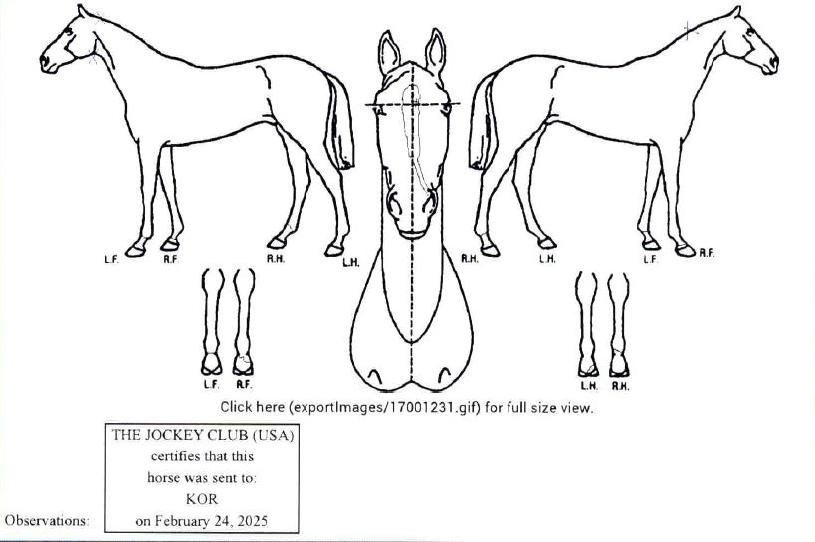 �������� ����,���,�޸�,�λ�,�ٸ��� Ư¡����