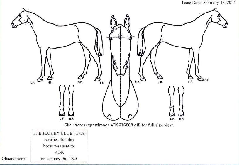 ���̾�Ʈ���Ͻ��� ����,���,�޸�,�λ�,�ٸ��� Ư¡����