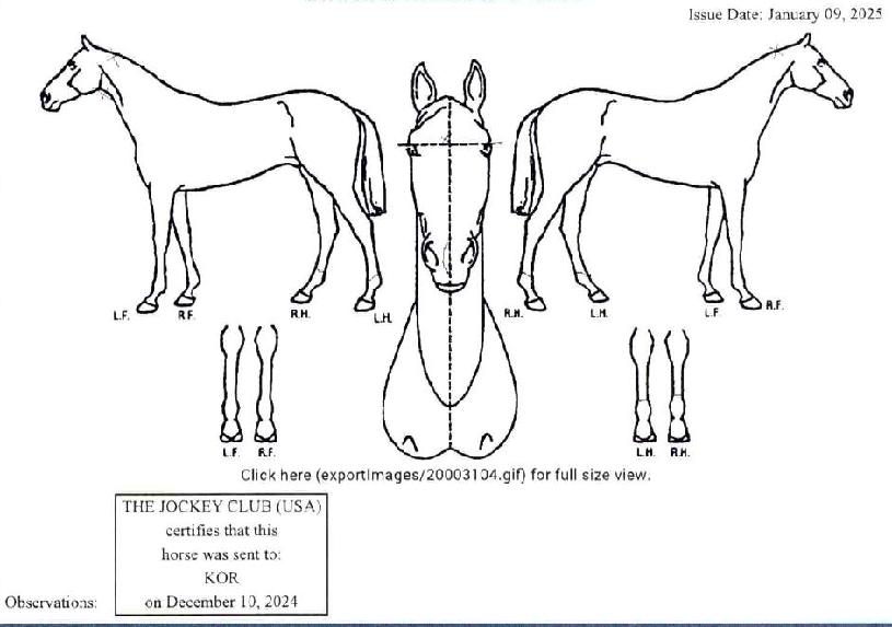 �㷣���� ����,���,�޸�,�λ�,�ٸ��� Ư¡����