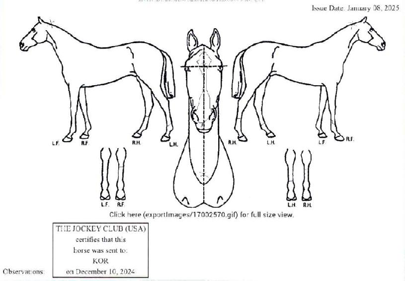 ¶ó½ºÆÃ±âÇÁÆ®ÀÇ Ãø¸é,¿ì¸é,µÞ¸é,µÎ»ó,´Ù¸®ÀÇ Æ¯Â¡µµÇØ