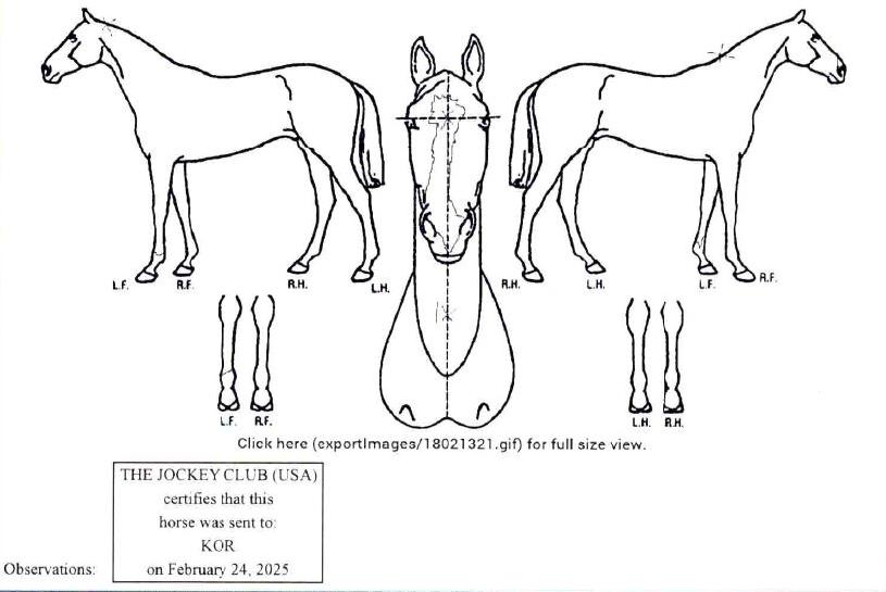 �³���Ʈ���� ����,���,�޸�,�λ�,�ٸ��� Ư¡����