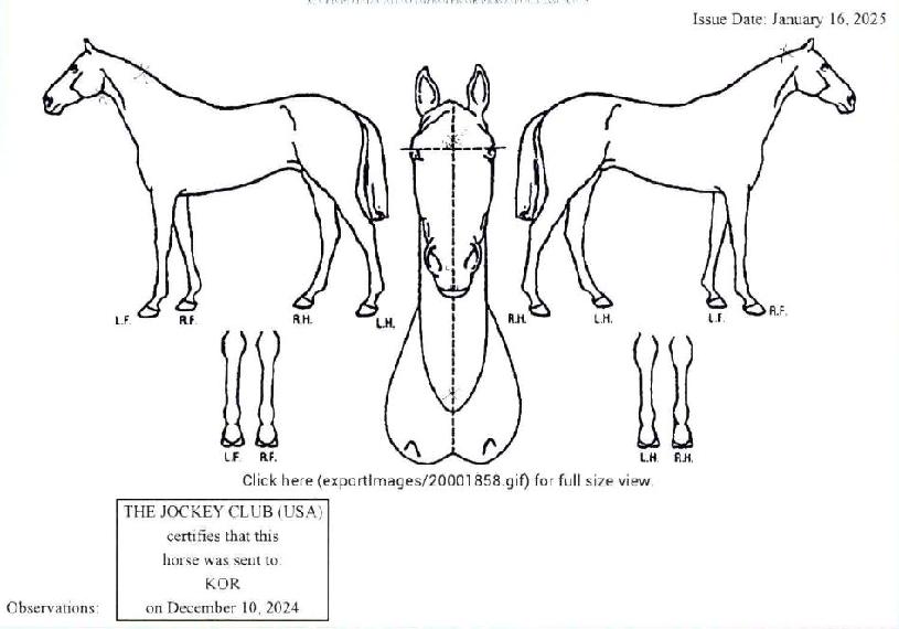 ġŸ¿îÈ÷Æ®ÀÇ Ãø¸é,¿ì¸é,µÞ¸é,µÎ»ó,´Ù¸®ÀÇ Æ¯Â¡µµÇØ